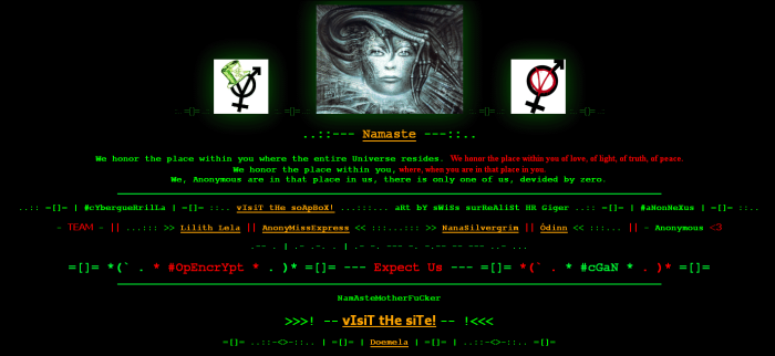 Cyberguerrilla Welcome Page